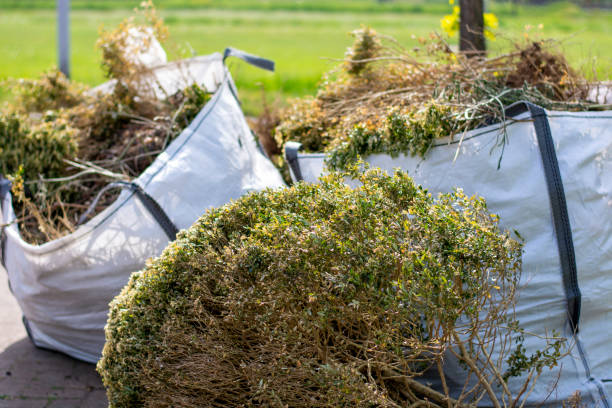 Professional Junk Removal Services in Crofton, MD